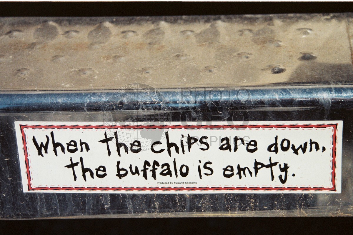 2101 "Chips are Down," San Juan National Forest, NM