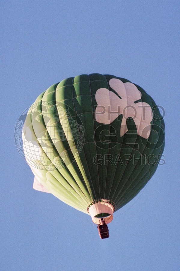 2116 Irish Balloon, Albuquerque, NM