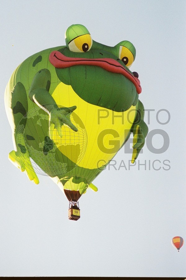 2119 Frog Balloon, Albuquerque, NM