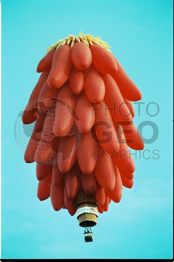 2124 Chili Pepper Balloon, Albuquerque, NM