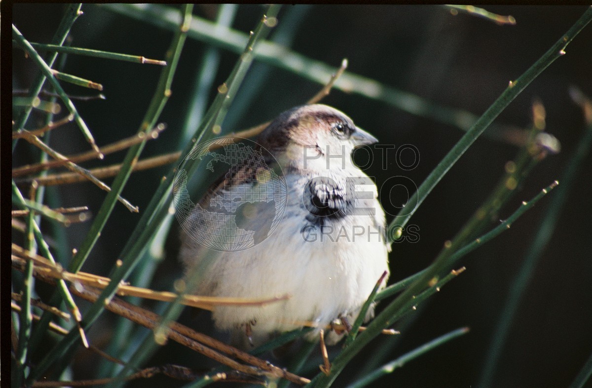 2135 Bird, Santa Fe, NM
