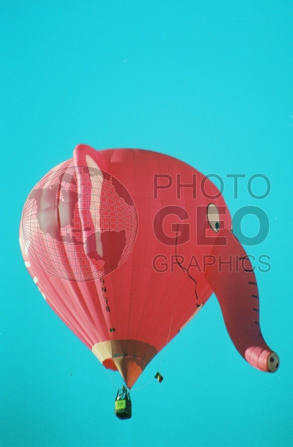 2140 Elephant Balloon, Albuquerque, NM