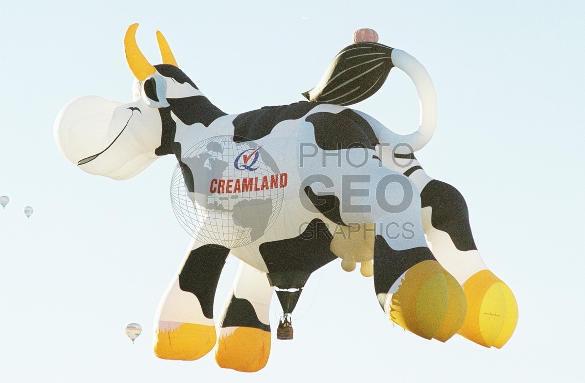 2144 Creamland Cow Balloon, Albuquerque, NM