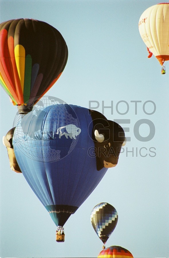 2148 Bison Balloon, Albuquerque, NM