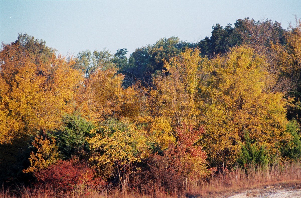 2184 Fall Colors, Richardson, TX