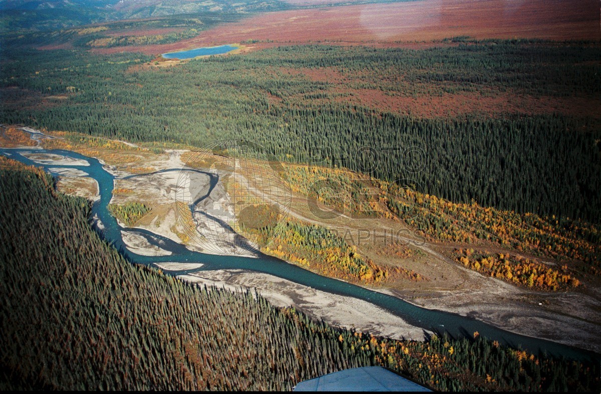 2188 Fall Colors & River, Denali National Park, AK