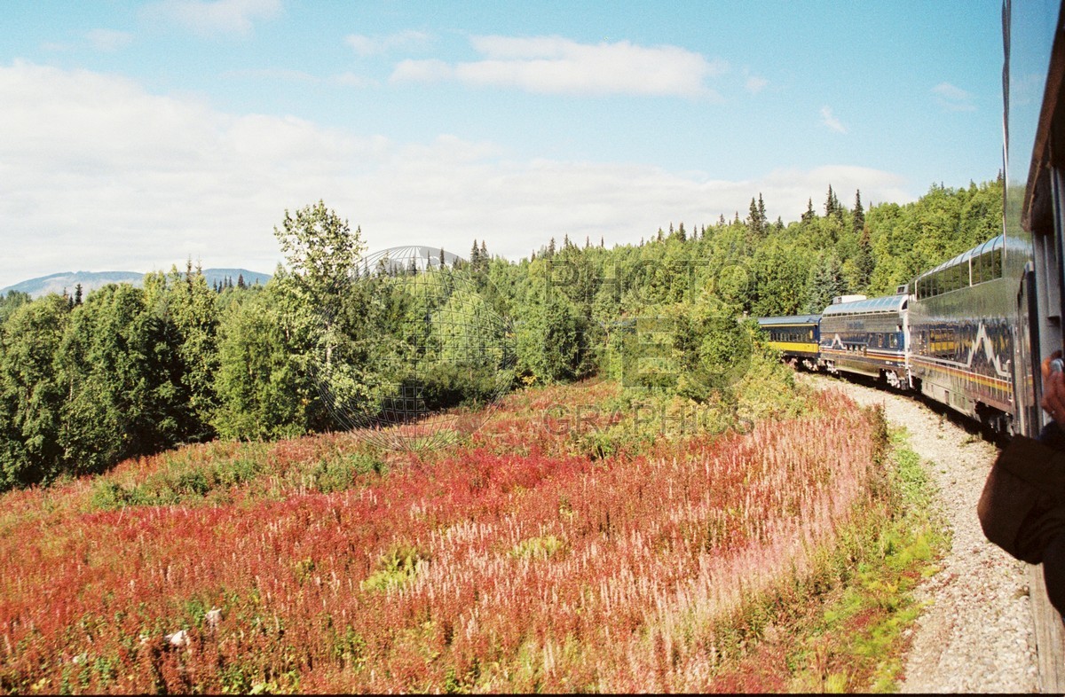 2191 Alaska Railroad & Fall Colors, Denali National Park, AK