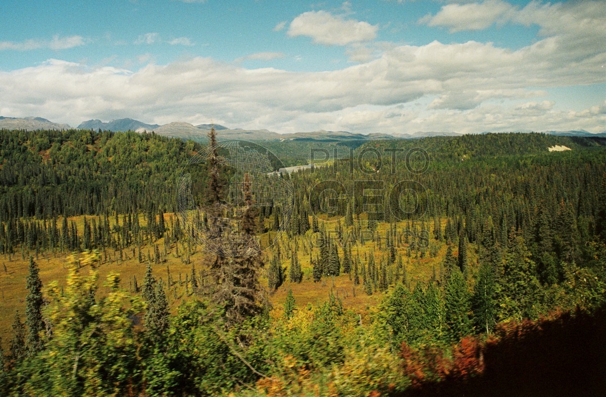 2196 Fall Colors, Denali National Park, AK