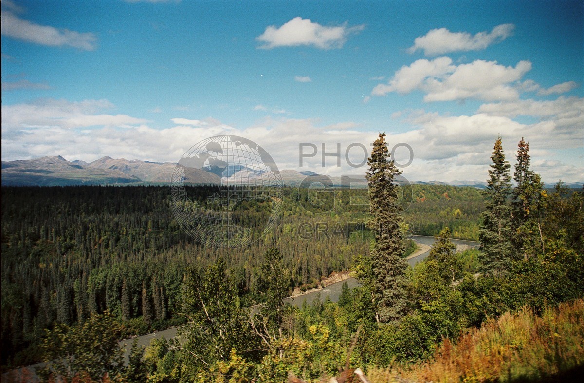 2197 Fall Colors, Denali National Park, AK