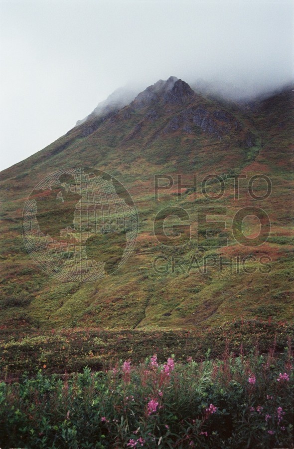 2218 Foggy Mountain with Fall Colors, Palmer, AK