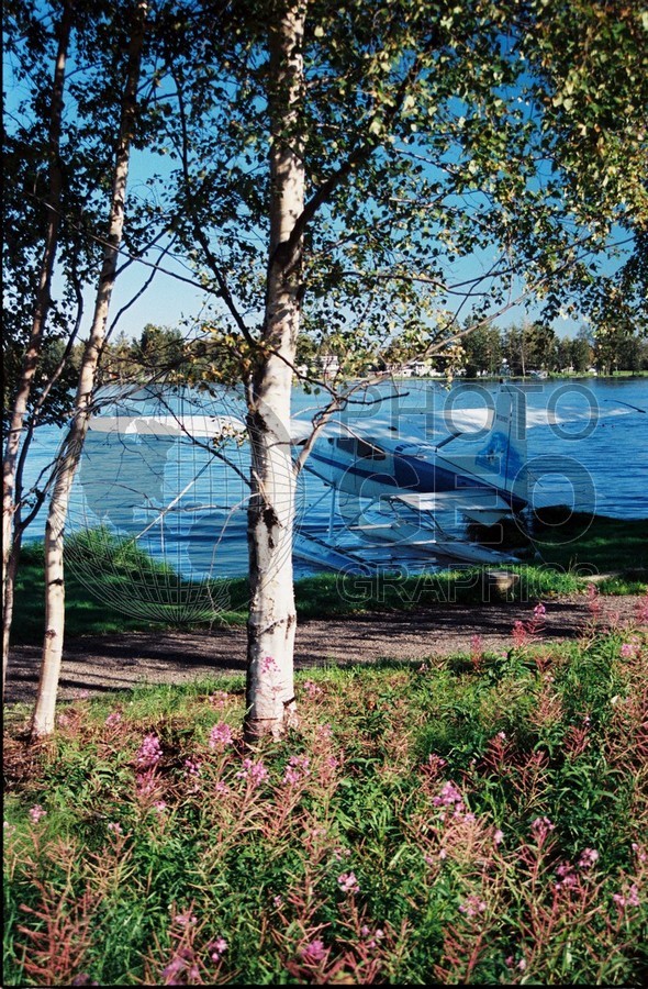 2229 Float Plane and Fireweed, Anchorage, AK
