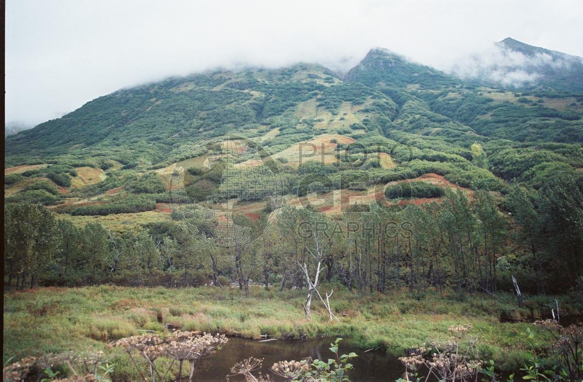 2231 Foggy Mountain, Chugiak State Park, AK