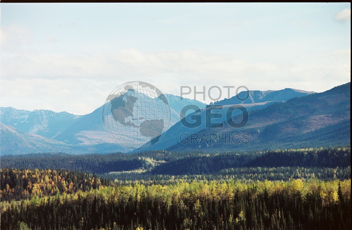 2242 Fall Colors, Denali National Park, AK