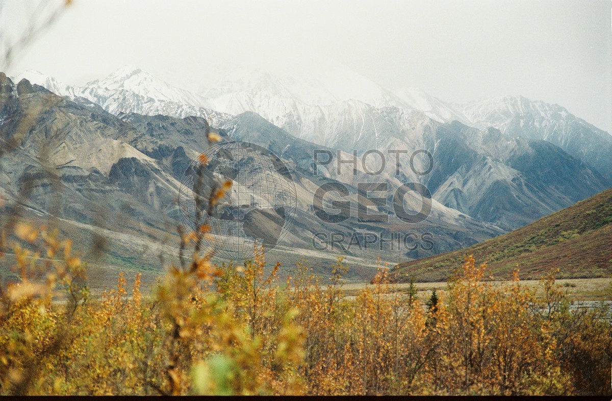 2245 Fall Colors, Denali National Park, AK