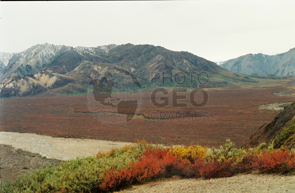 2254 Mountain with Fall Colors, Denali National Park, AK