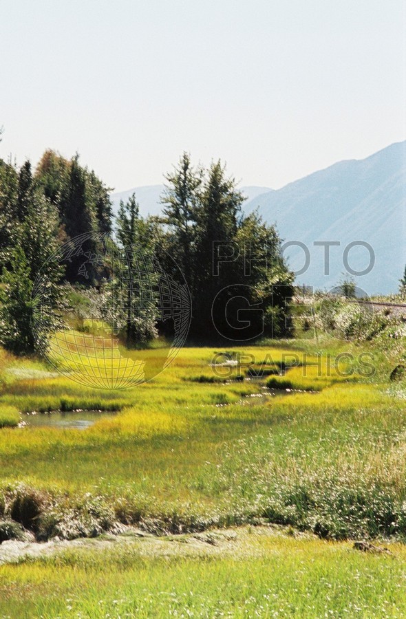 2267 Fall Colors, Girdwood, AK