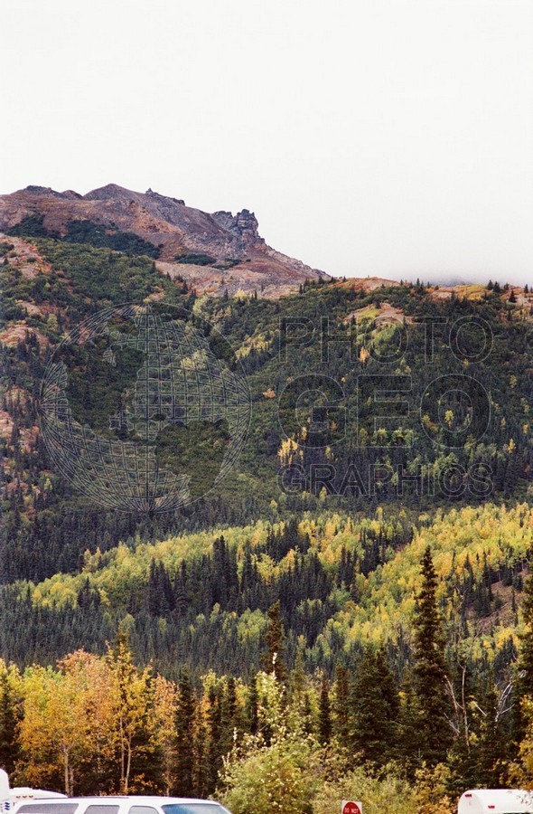 2289 Fall Colors, Denali National Park, AK