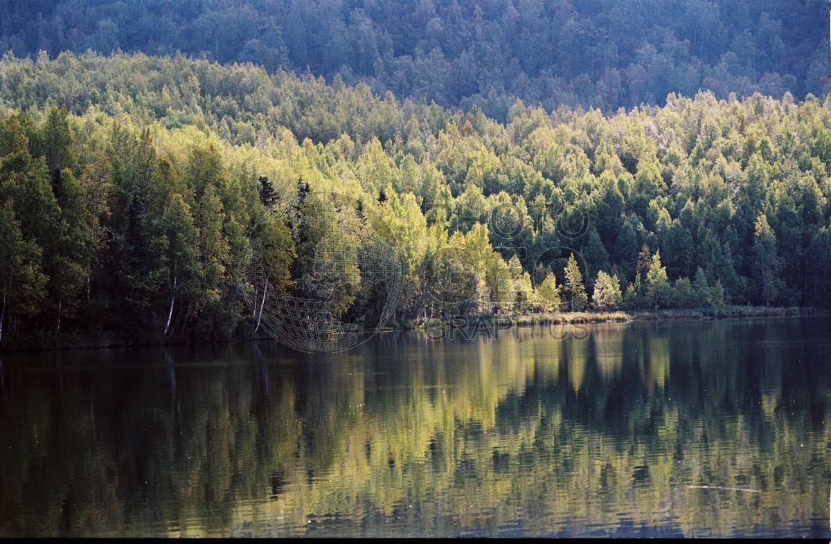 2294 Forest Reflects in Lake, Palmer, AK