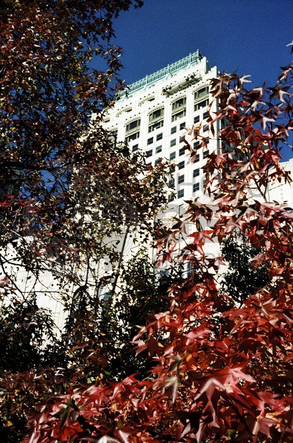 2321 Office Building in Fall, Tulsa, OK