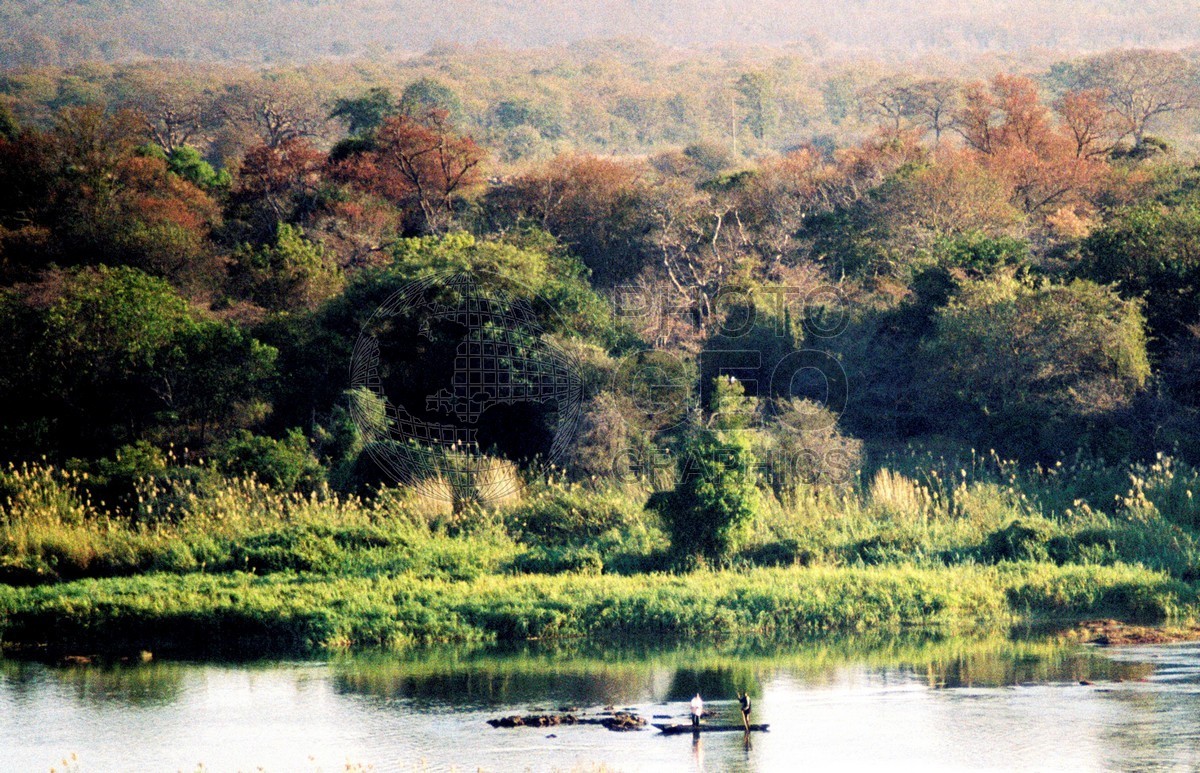 2379 Boat on Zambezi River, Zimbabwe