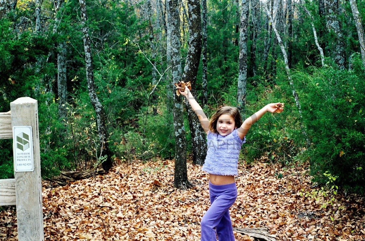 5004 Fall Leaves