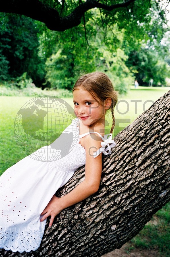 5005 White Dress/Tree