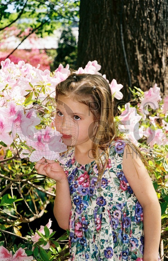 5279 Girl with Pink Azelias