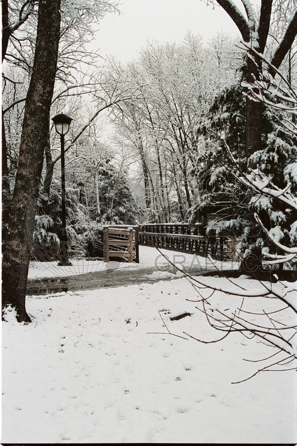 0167 Snowfall, Richardson, TX