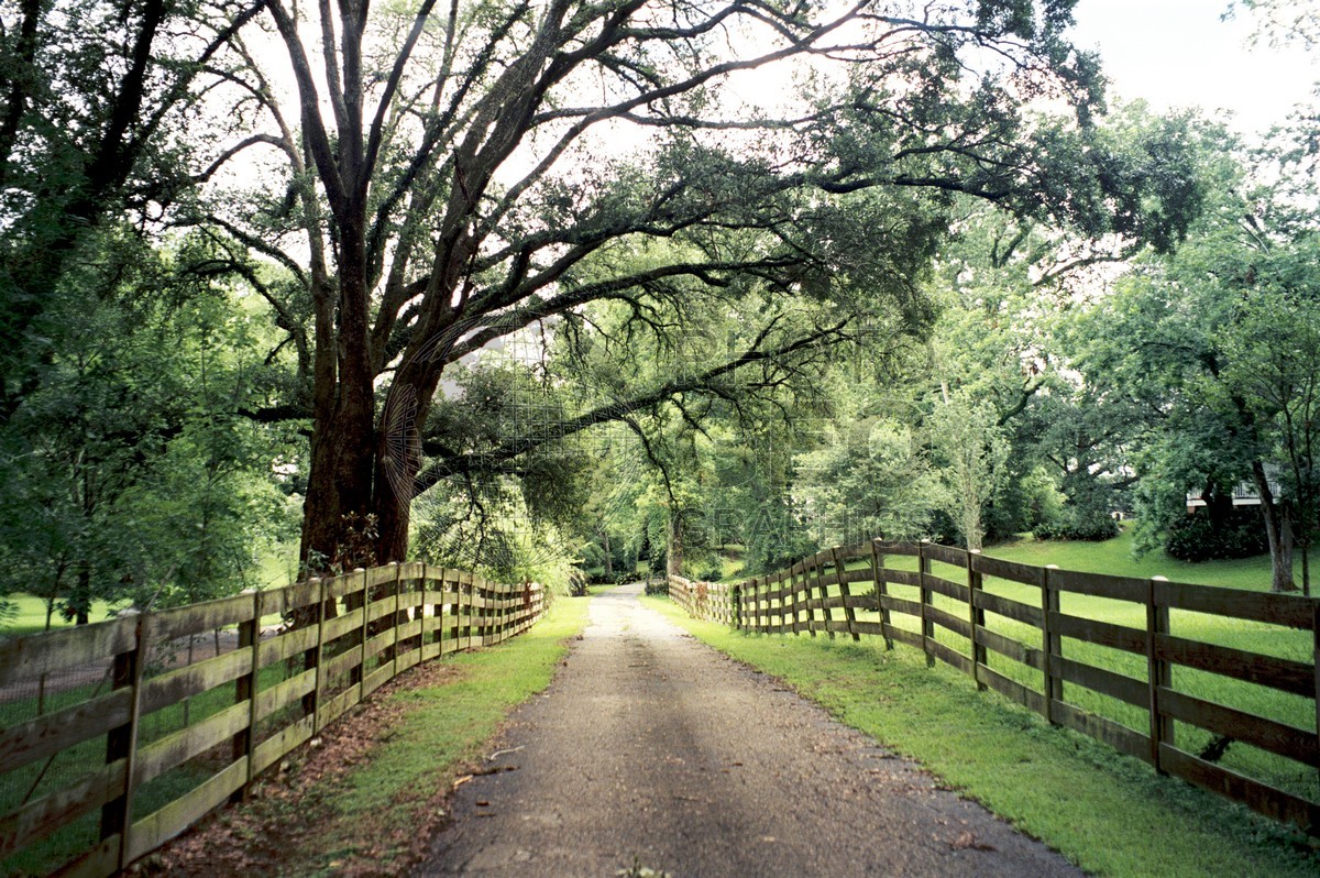 0231 Country Lane, Baton Rouge, LA